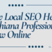 How Local SEO Helps Ludhiana Professionals Grow Online