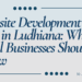 website development cost in ludhiana